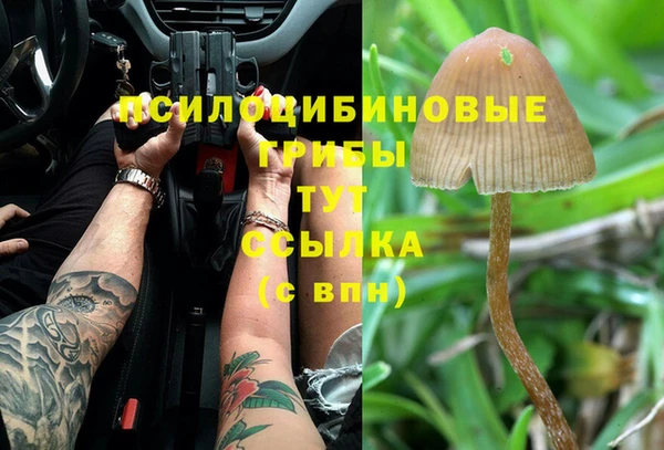 гашишное масло Новодвинск