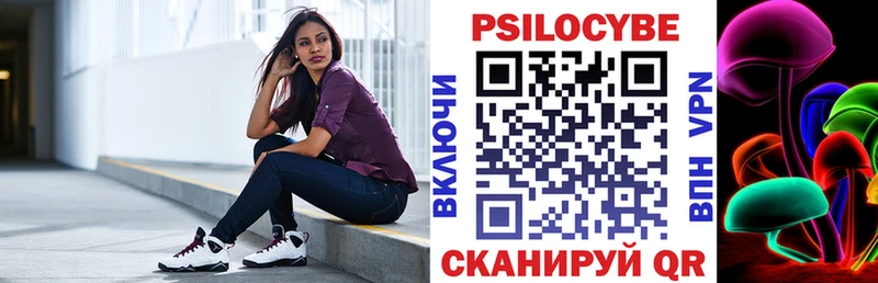наркота  Ишим  Галлюциногенные грибы Psilocybine cubensis 