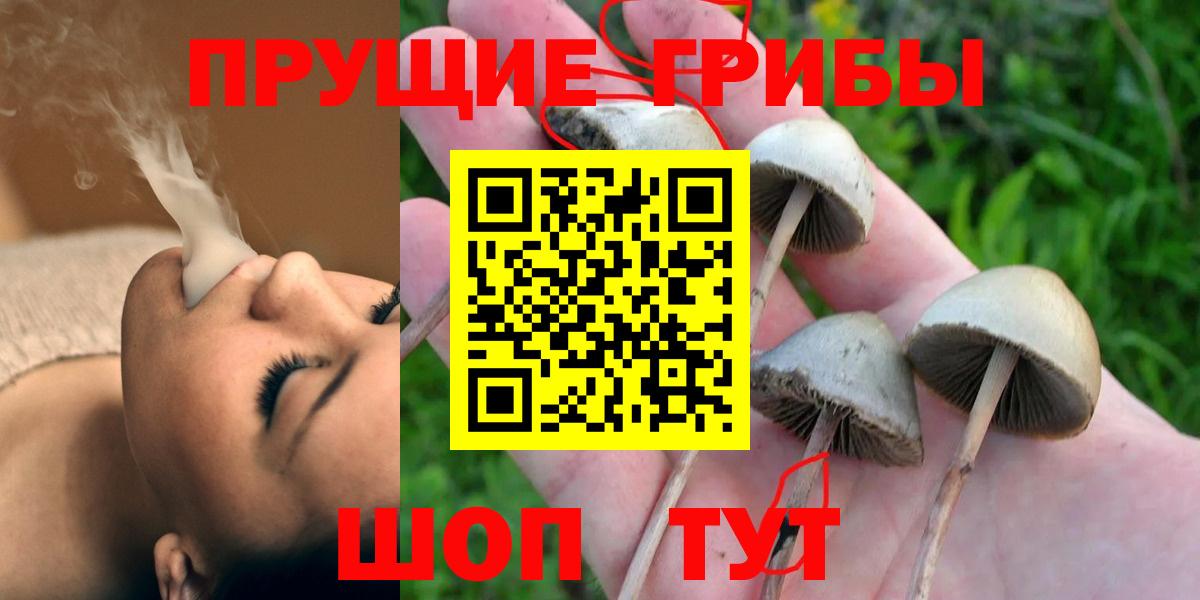 Ишим  Псилоцибиновые грибы прущие грибы  Вход с VPN 