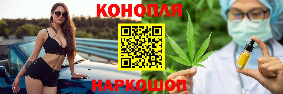 Ишим  Бошки Шишки сатива  Вход с VPN  МАРИХУАНА ГИДРОПОН  Бошки Шишки планчик 